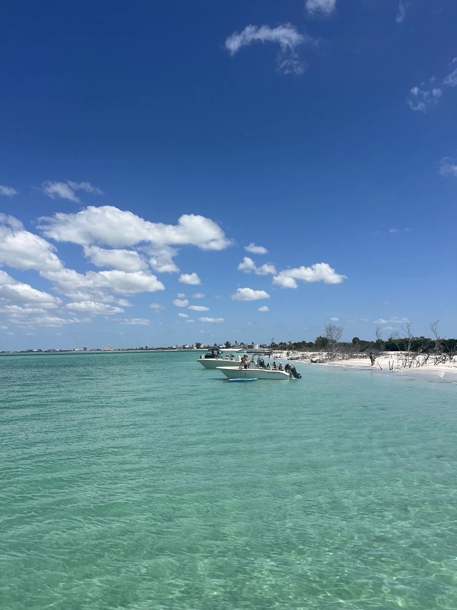 Book your Egmont Key trip charter
