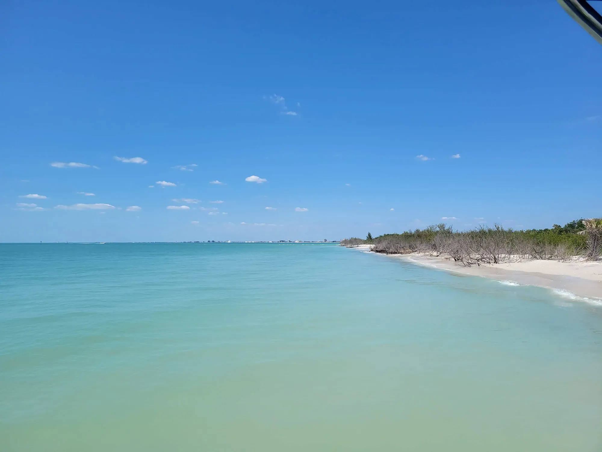 Turquoise Gulf water along a tree-lined stretch of shoreline off St. Pete